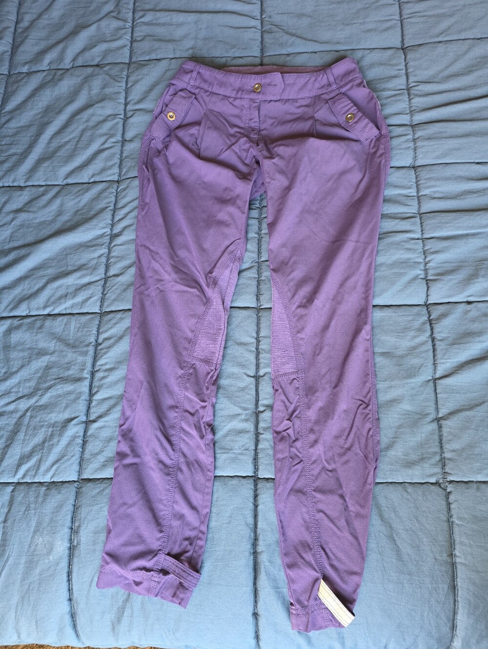lululemon athletica deep purple athletic joggers